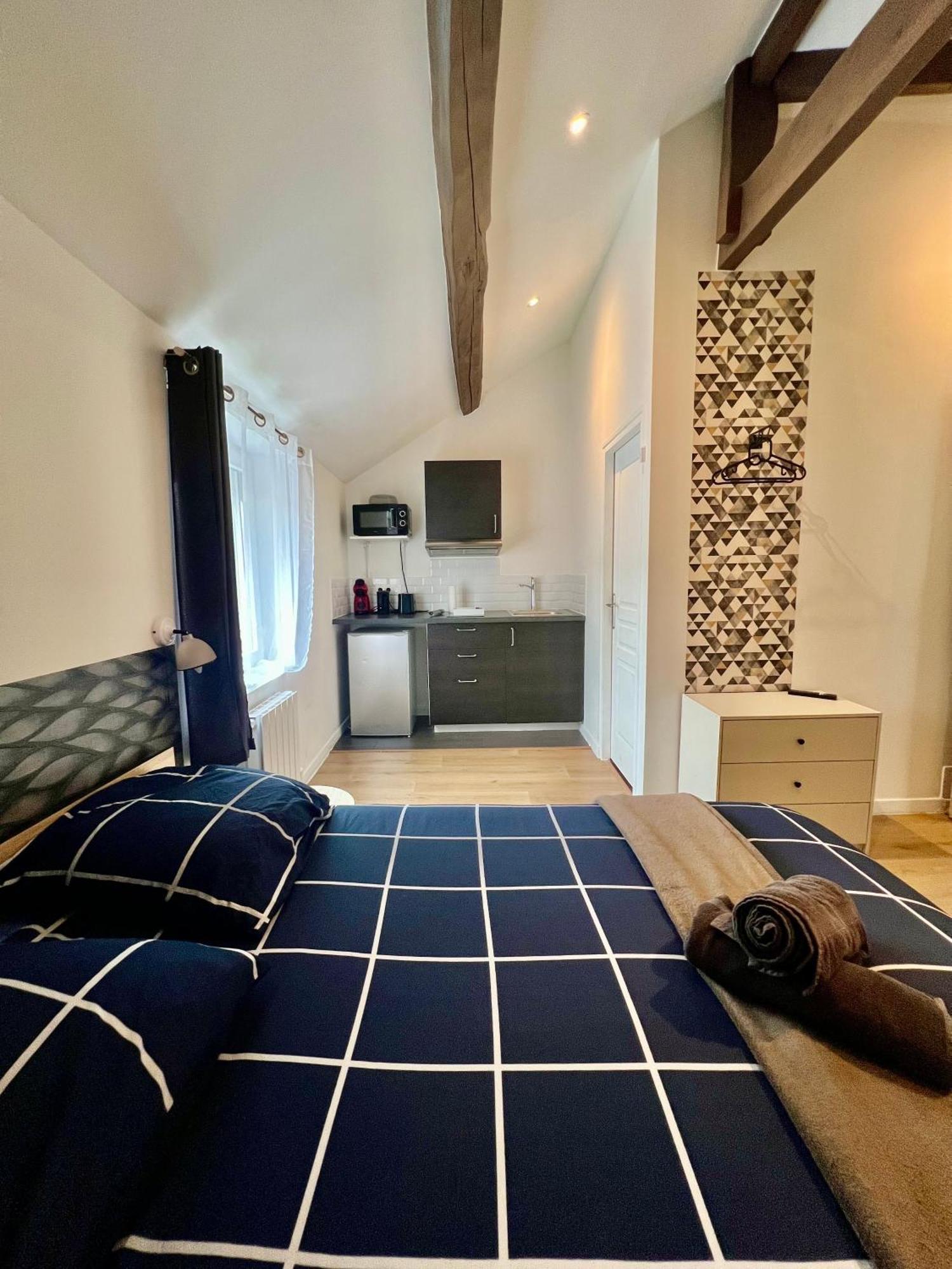 Studios Ideal Pro I Centre-Ville & Parking Gratuit Chatellerault Ngoại thất bức ảnh