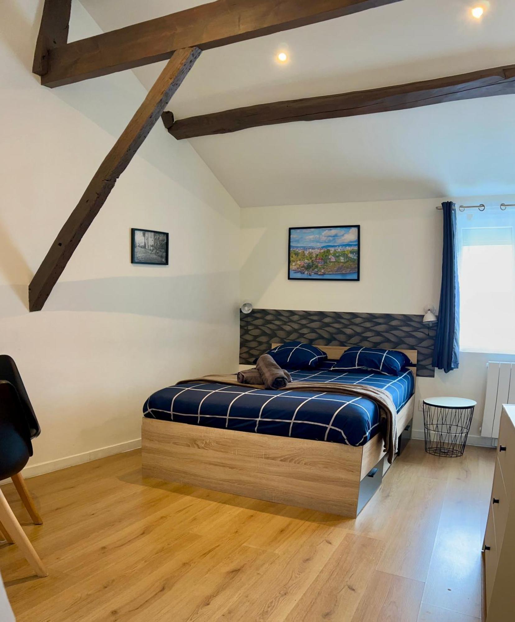 Studios Ideal Pro I Centre-Ville & Parking Gratuit Chatellerault Ngoại thất bức ảnh